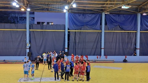 Sloga i Leoar remizirali