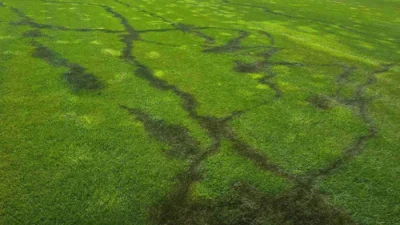 Ima li kraja navijačkom vandalizmu?, Mozzart Bet Super liga Srbije