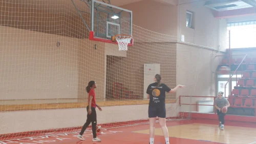 Orlovi čekaju Partizan, Prvenstvo BiH