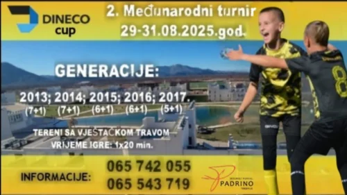 I ove godine Alfa organizuje veliki fudbalski turnir u Gradu Sunca