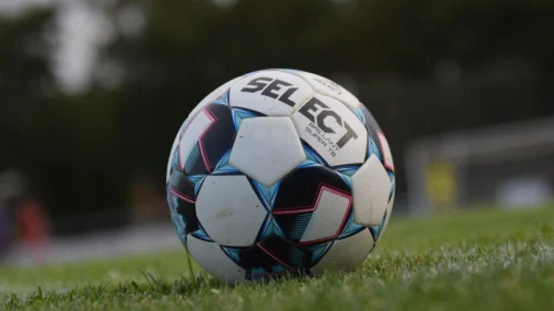 Zadrugar odustao i od drugoligaškog takmičenja, evo ko će umjesto njih, Druga liga  – Istok