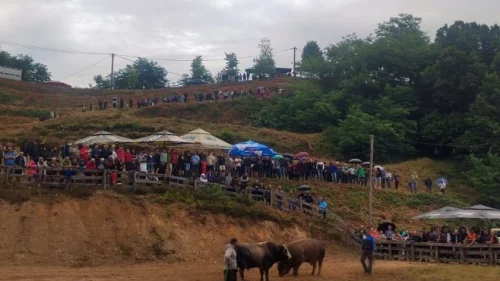 Održana 253. Grmečka korida na Popovića brdu kod Oštre Luke