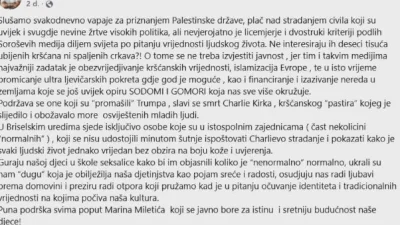Igor Štimac, ZDS, WWIN liga