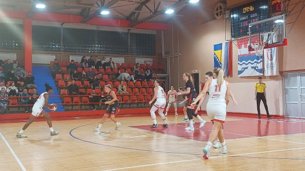 Orlovi šampionski, Prvenstvo BiH