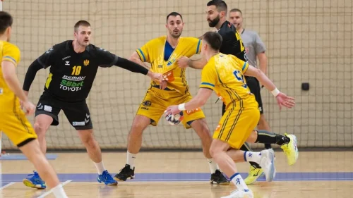 Remi rukometne reprezentacije Bosne i Hercegovine