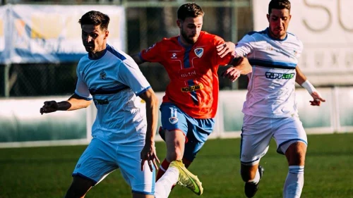 Novi plan Borčevih mečeva, WWIN liga