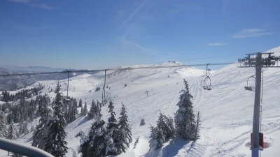 Kvitova i Šarapova vode reprezentacije