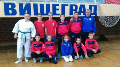 Ljubišnja i Nipon uspješni u Višegradu