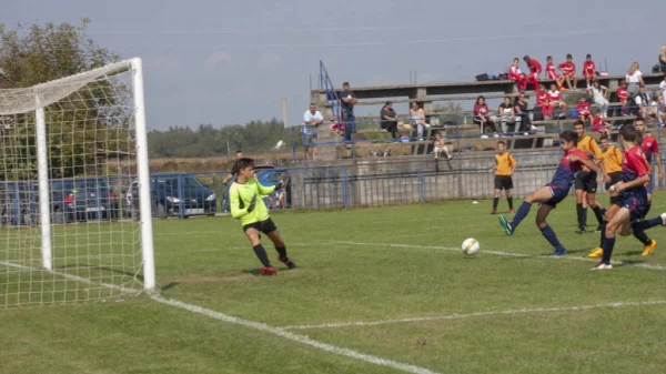 Dobra Kozara, Omladinska liga FSRS  grupa Zapad pioniri 2018