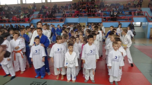 Međunarodni turnir