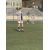 Gol postigao Asmir  Osmanović u 15. minutu za Slaven