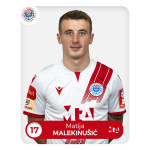 Matija   Malekinušić