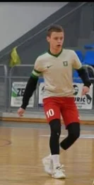 Alem  Pjanić