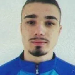 Danijel  Gajić