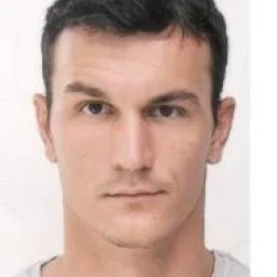 Dalibor  Mitrović