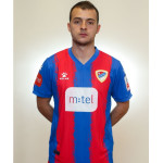 Nemanja   Mihajlović