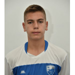 Aleksandar  Vujović