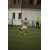 Gol postigao Esmir  Mrakić u 75. minutu za Travnik