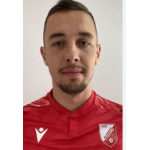 Vladimir  Milicanović