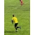 Gol postigao Tarik  Bakalović u 56. minutu za Rudar