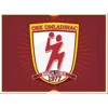 Omladinac