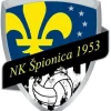Špionica 1953