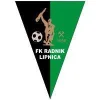 Radnik 018
