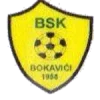 BSK