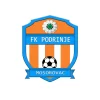Podrinje