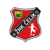 Čelik