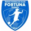 Fortuna 