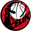 Čelik