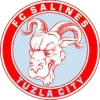 Salines