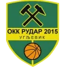 Rudar 2015