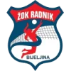Radnik 