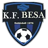 Besa 1976
