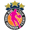 Čelik