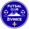Živinice 