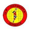 Derventa
