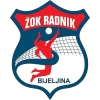 Radnik