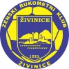 Živinice