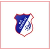 Sokolac 