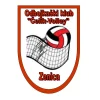 Čelik-odbojka Volley