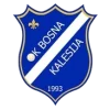 Bosna