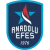 Anadolu Efes